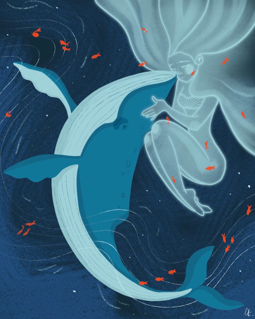 Illustration
